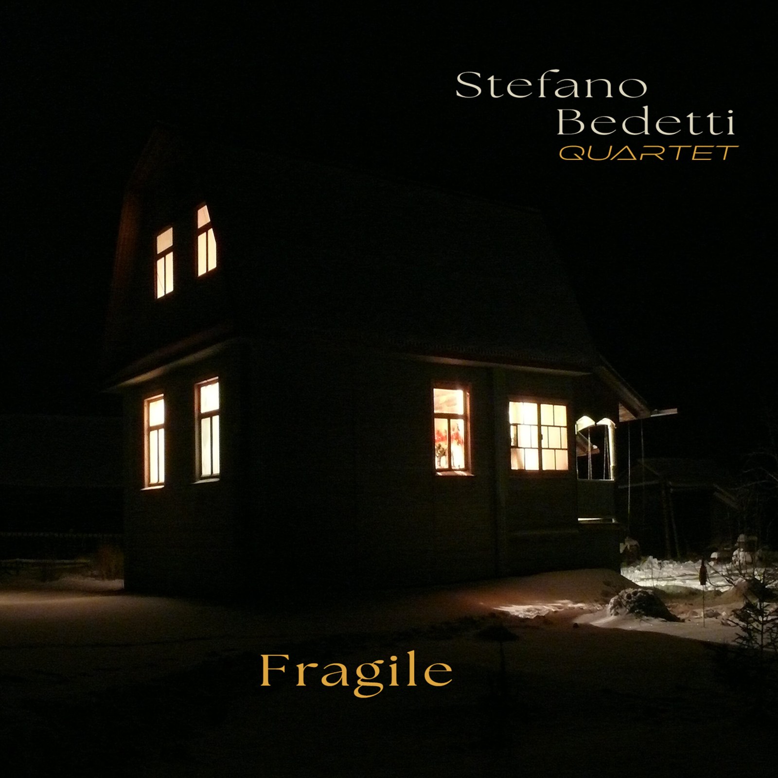 Copertina dell’album Fragile